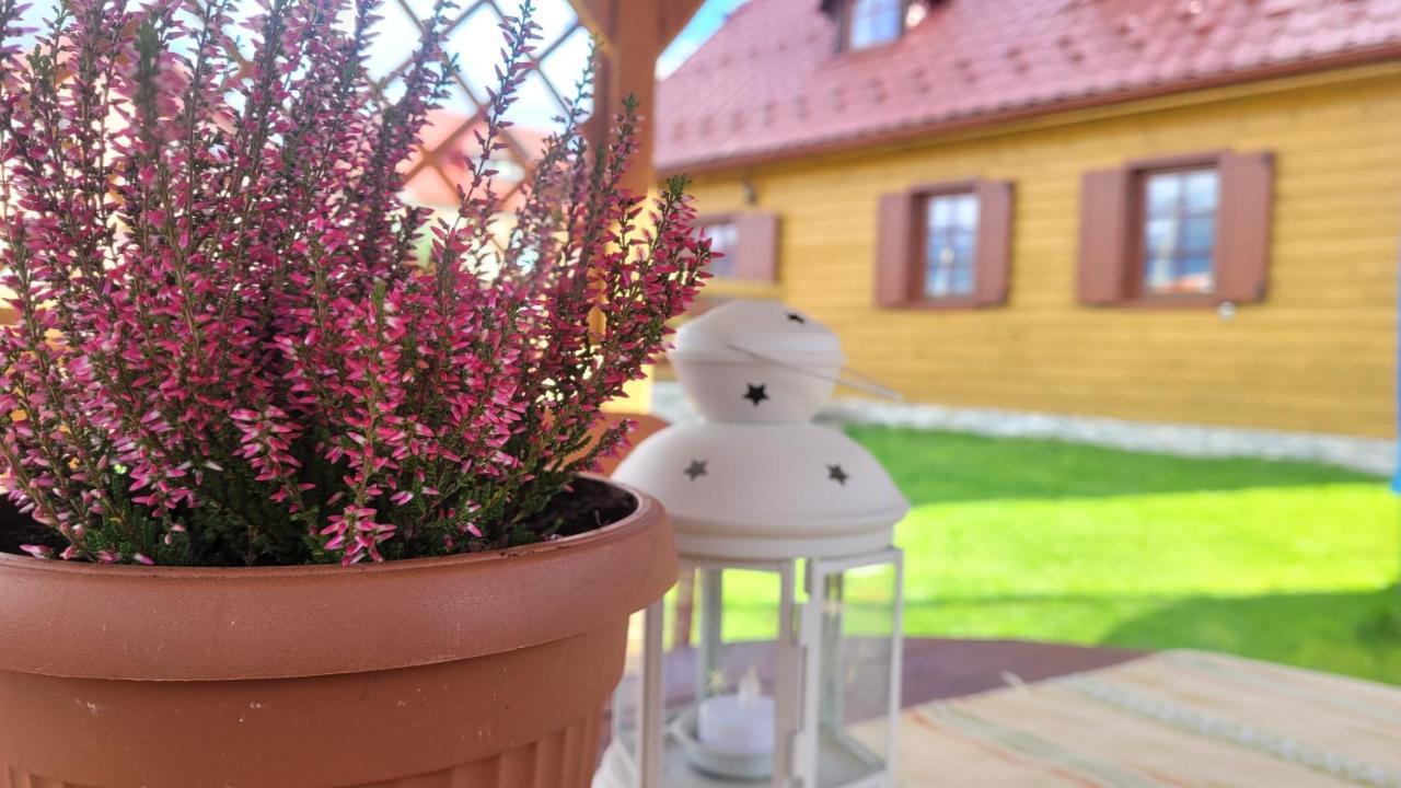 Holidayhouse Chalupa Alzbetka Važec Buitenkant foto